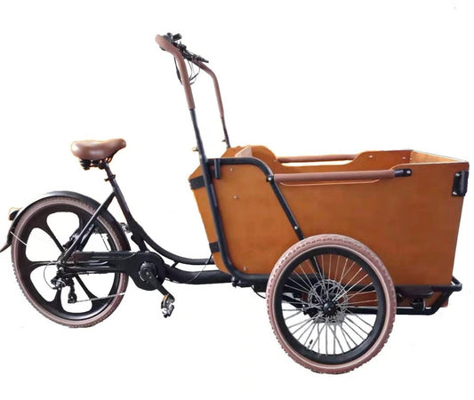 elektro-cargobike-sl007,Elektro Cargobike SL-007 E-Lastenrad