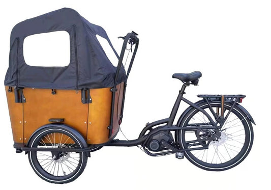 elektro-cargobike-sl031,Elektro Cargobike SL-031 E-Lastenrad