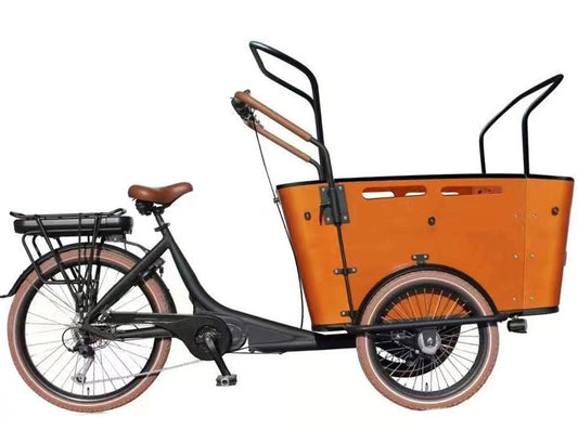 elektro-cargobike-wxsl001,Elektro Cargobike WXSL-001-01 E-Lastenrad